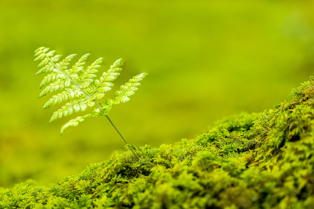 Platz 4 Conny Kleiner